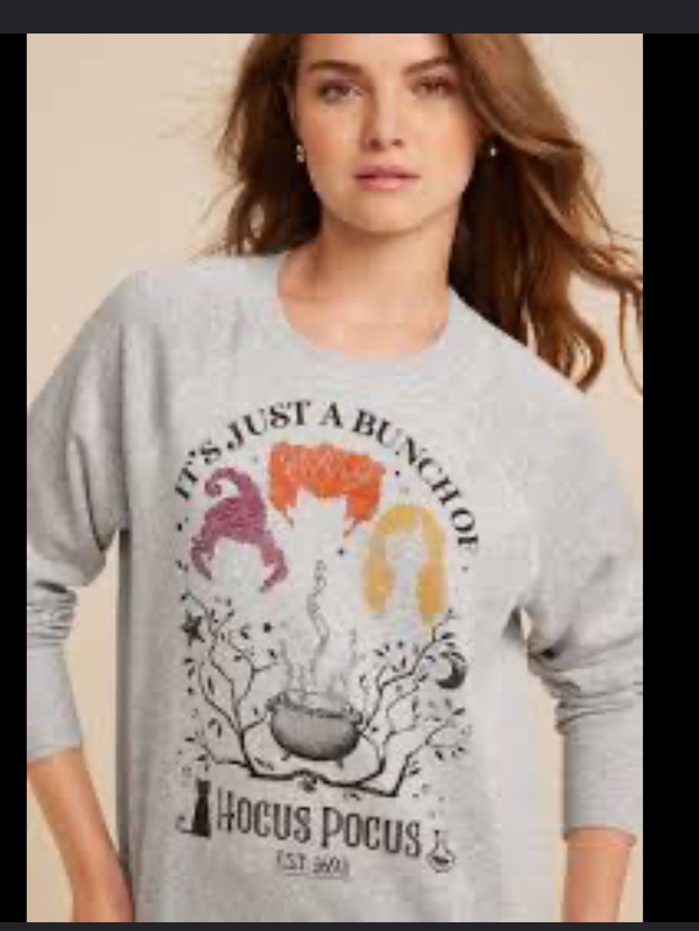Disney Hocus Pocus Sweatshirt NWT